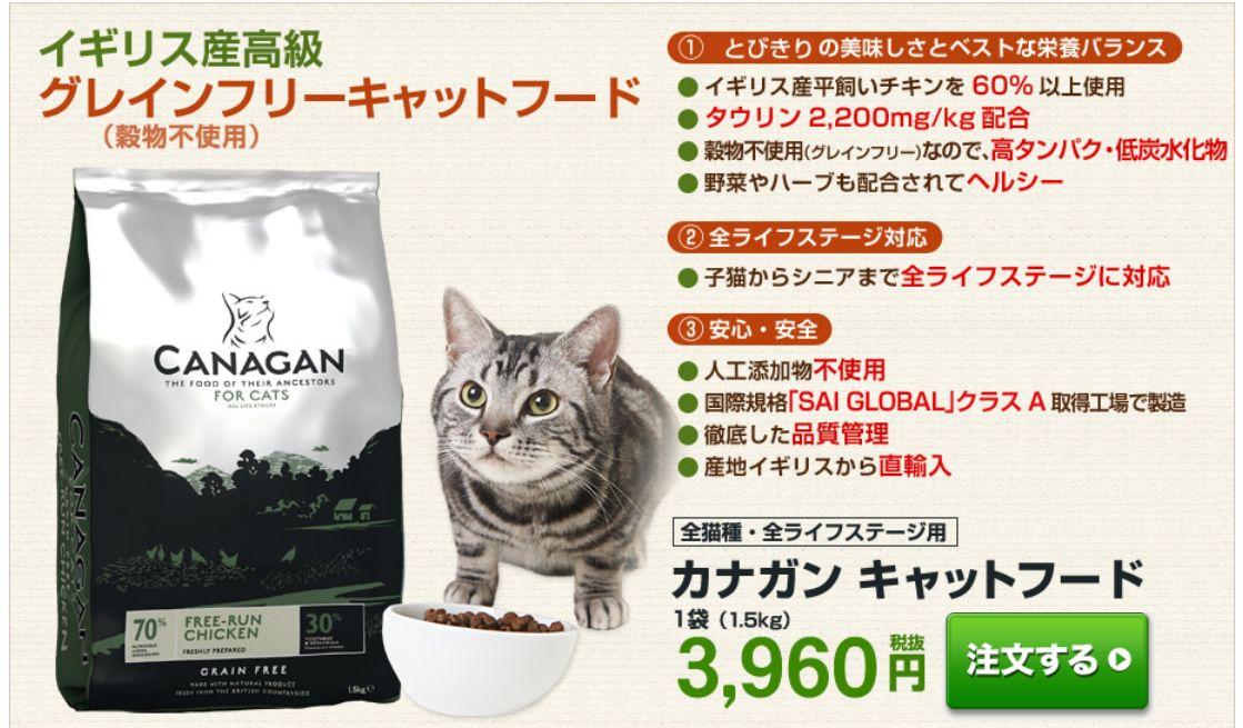 kanagan-cat2.jpg